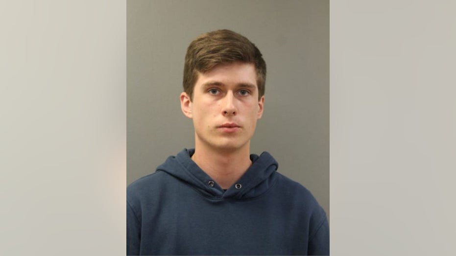 Chicago man allegedly microwaved kitten to death, killed other felines