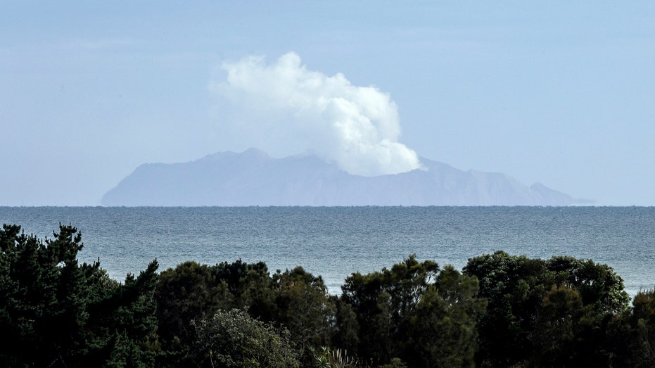 Survivors of New Zealand’s White Island volcano eruption set to testify in trial of tourism operators