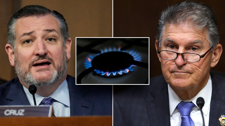 Ted Cruz, Joe Manchin secure gas stove protection bill in must-pass govt funding package