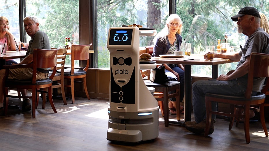 Fox News Artificial Intelligence Newsletter: Restaurant robot backlash, AI regulation