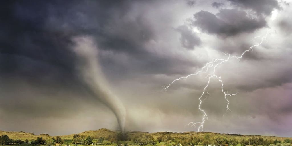 Tech tips to avoid contractor scams after a storm or disaster - Vimarsana News