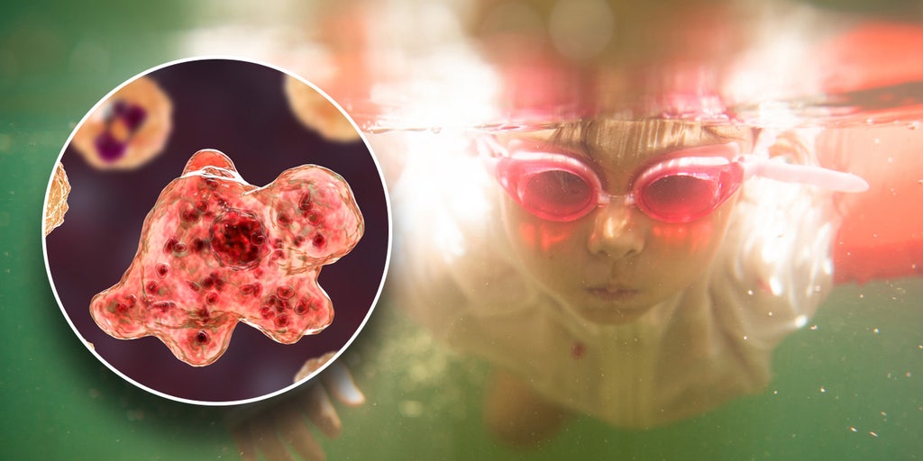 Lake Mead officials warn of rare but deadly brain-eating amoeba found present in hot springs - Vimarsana News