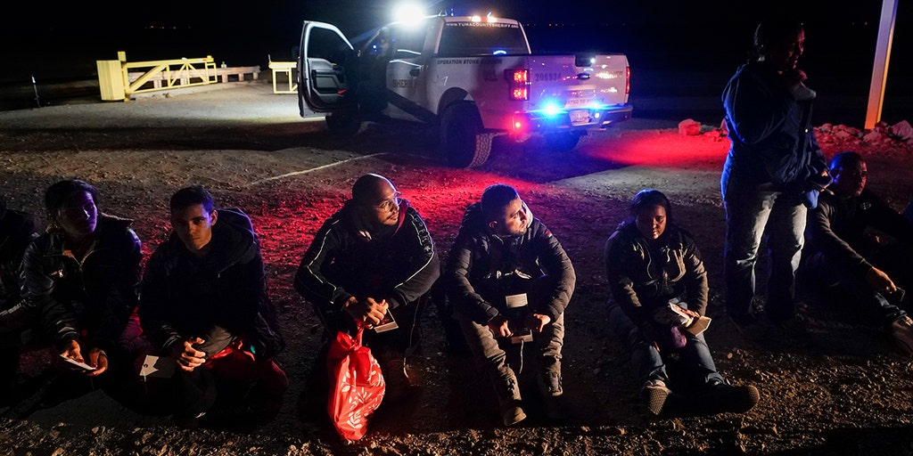 Democratic members of Congress unhappy with lack of attorneys for asylum seekers in Border Patrol custody - Vimarsana News