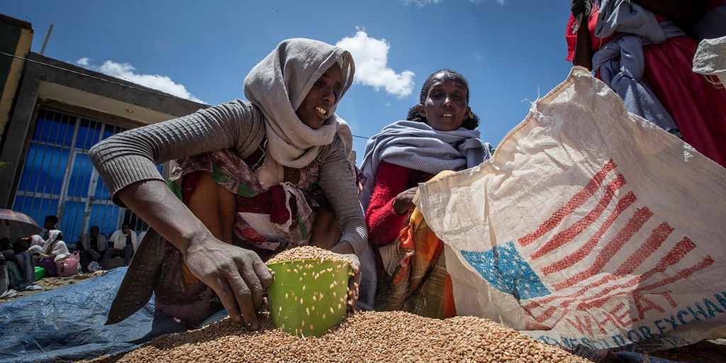 UN World Food Program slowly resumes food aid to Ethiopia after suspending program - Vimarsana News