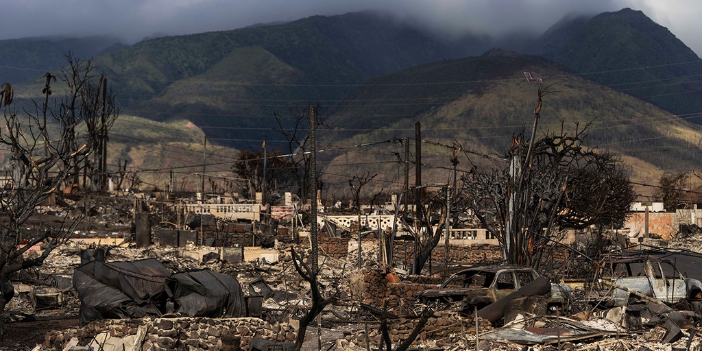 Hawaii's Maui horror reveals what happens when government is broken - Vimarsana News