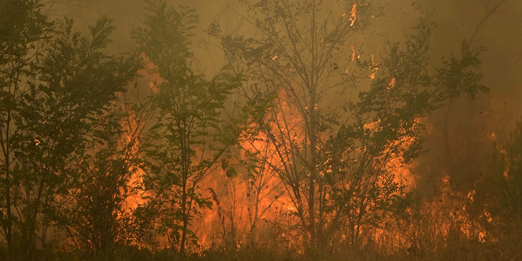 Greece sends 100 more firefighters to country's northeast as blaze flares up in 13th day - Vimarsana News