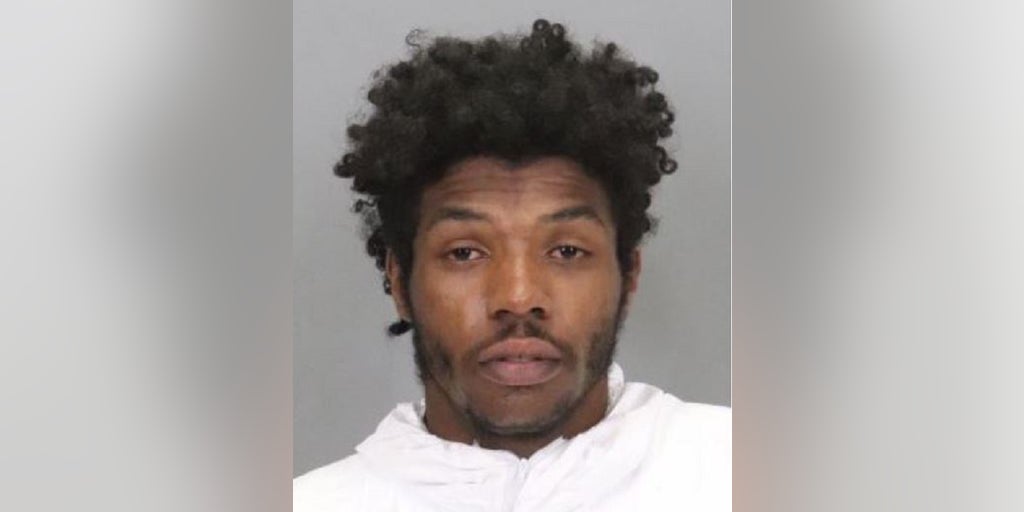 California murder suspect charged in stabbing death of 6-year-old boy and his great-grandmother - Vimarsana News