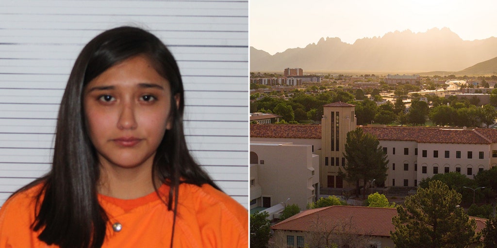 New Mexico teen accused of killing newborn faces 'nonsense' petition to ban her from college: lawyer - Vimarsana News