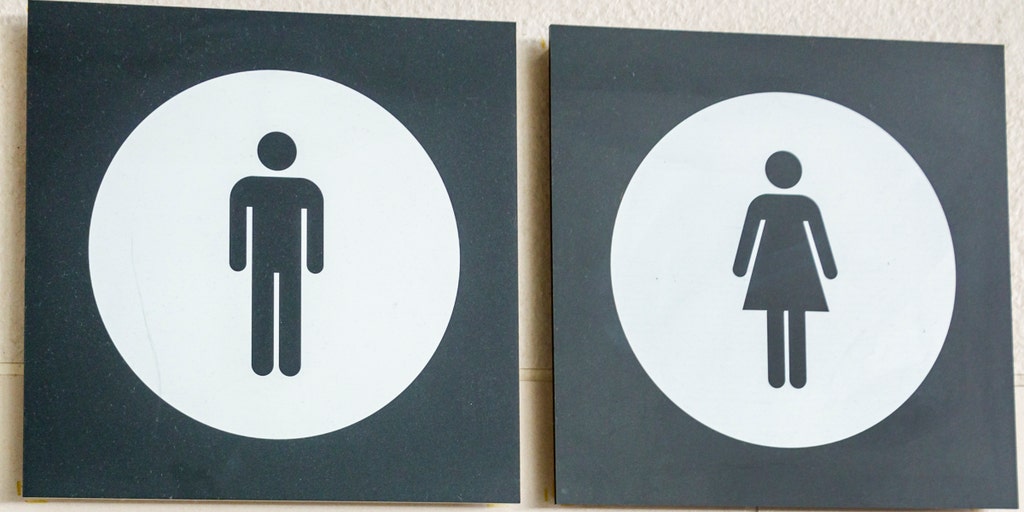 Florida university system proposes penalties for faculty who don't use restrooms according to biological sex - Vimarsana News