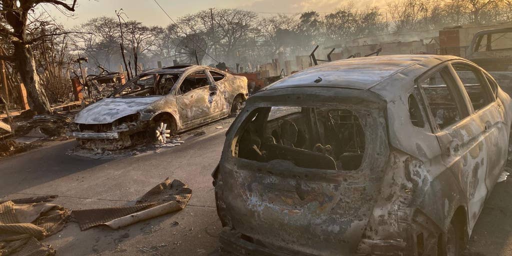 Maui police union chair: County, department 'failed' as officers' homes burned down during rescues - Vimarsana News
