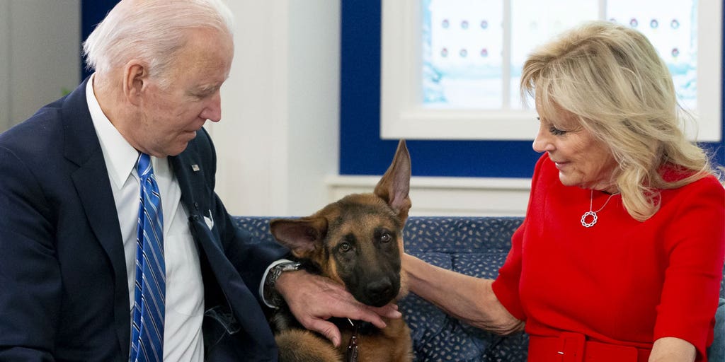 Politico chews out Bidens for their dogs biting WH staffers: 'Lousy,' 'entitled' behavior by the first family - Vimarsana News