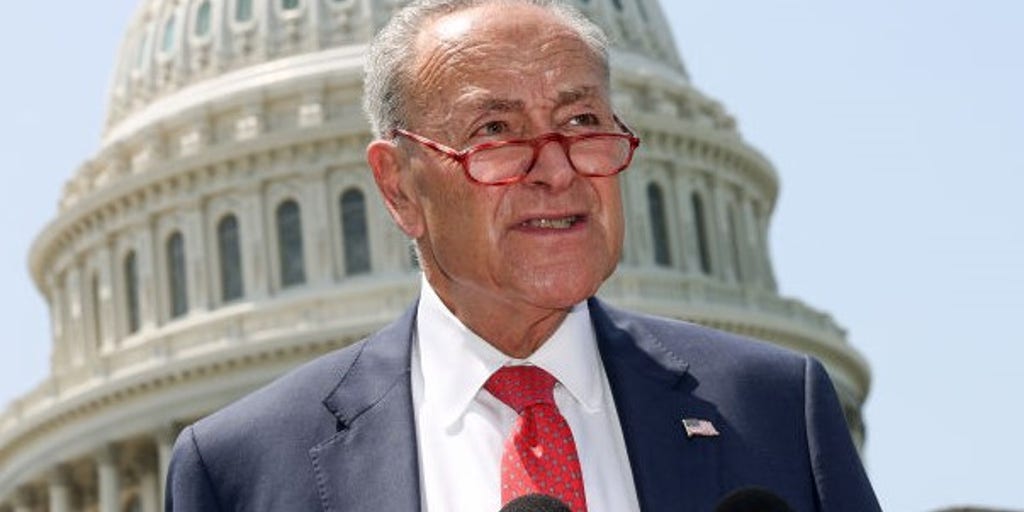 Schumer should butt out of AI reg talks because of his 'familial ties' to big tech, say GOP groups - Vimarsana News