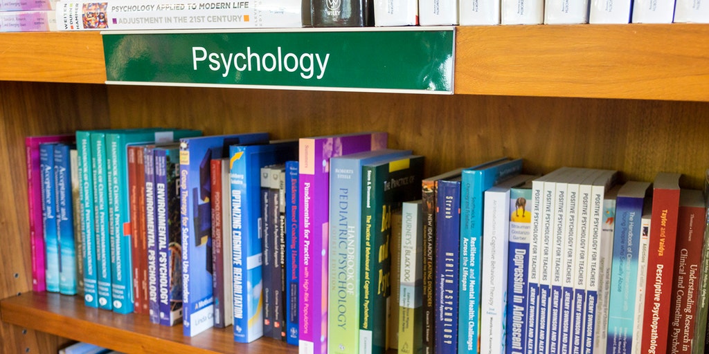 Florida has 'effectively banned' one of the most popular AP courses, College Board says - Vimarsana News