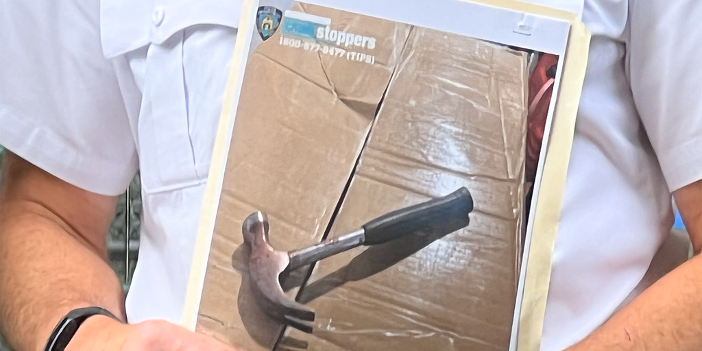 NYC mother killed, two young children fighting for their lives after heinous hammer attack: police - Vimarsana News