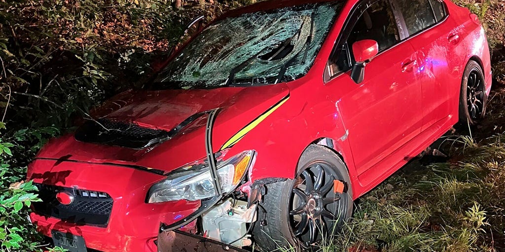 4 Maine troopers struck by car alongside road while investigating 'family dispute' - Vimarsana News