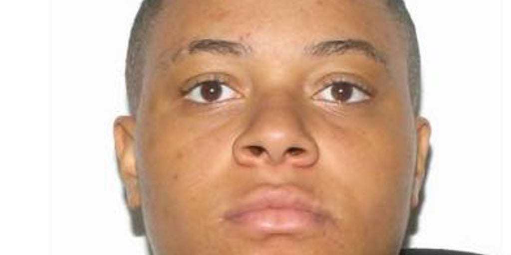 Virginia police searching for murder suspect following 'unacceptable' killing of 10-year-old - Vimarsana News