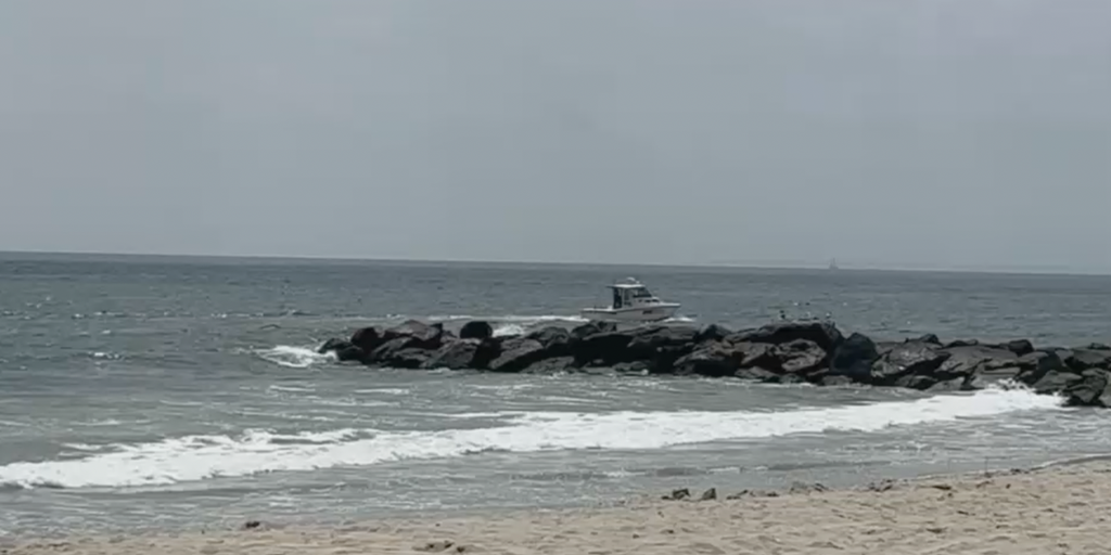 New York beachgoers pulled from water days after woman attacked by shark lost 20 Ibs of flesh - Vimarsana News