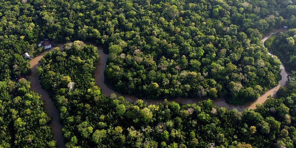 Brazil, other Amazon rainforest countries to meet for the first time in 14 years over environmental threats - Vimarsana News