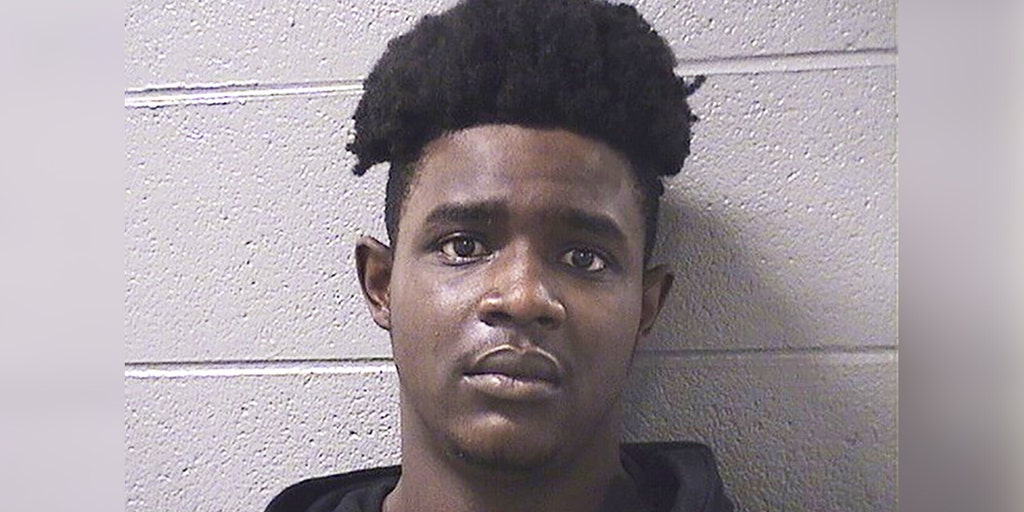 Chicago man seen sexually assaulting girl during remote-learning class sentenced to 11 years - Vimarsana News
