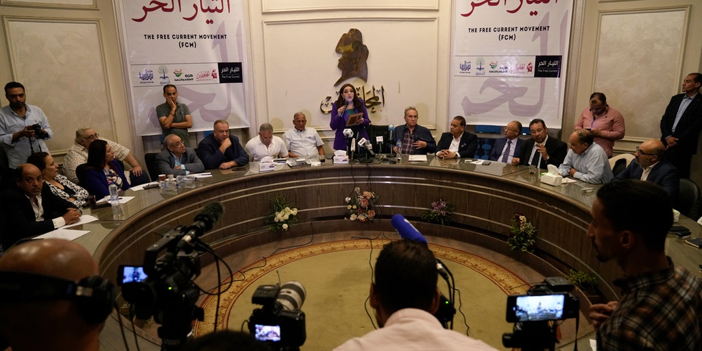 Multi-party coalition criticizes Egyptian government in rare show of dissent - Vimarsana News