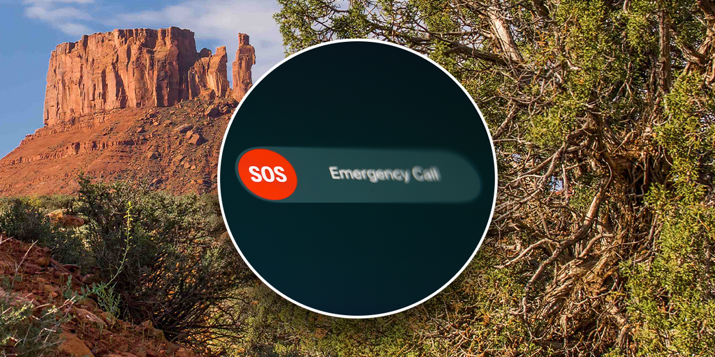 Woman hiking with dog survives being swept down canyon in flash flood: rescuers - Vimarsana News