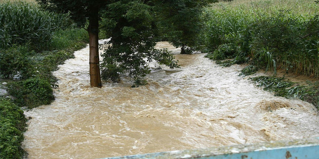 1 dead after torrential rains in Austria sweep victim into swelling river - Vimarsana News