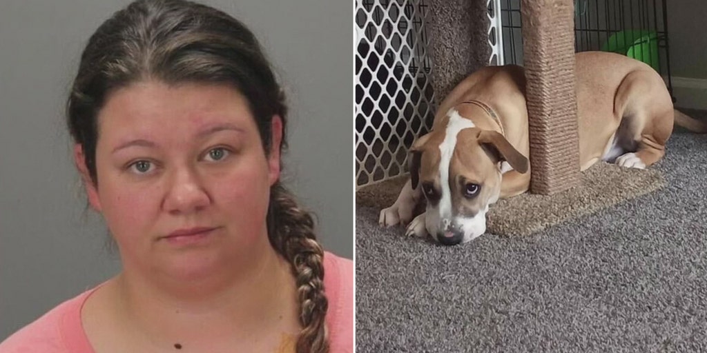 Michigan woman charged with performing sex act on dog caught by  