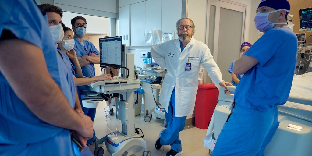 Pig kidney still functioning in brain-dead man 6 weeks after transplant surgery: 'Extremely encouraging' - Vimarsana News