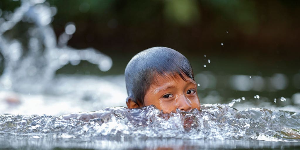Indigenous leader inspires law to treat Amazone river as a living entity subject to rights - Vimarsana News