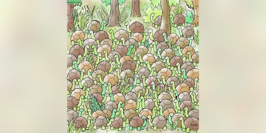 Brain teaser: Can you find the snake hiding among the tortoises? - Vimarsana News