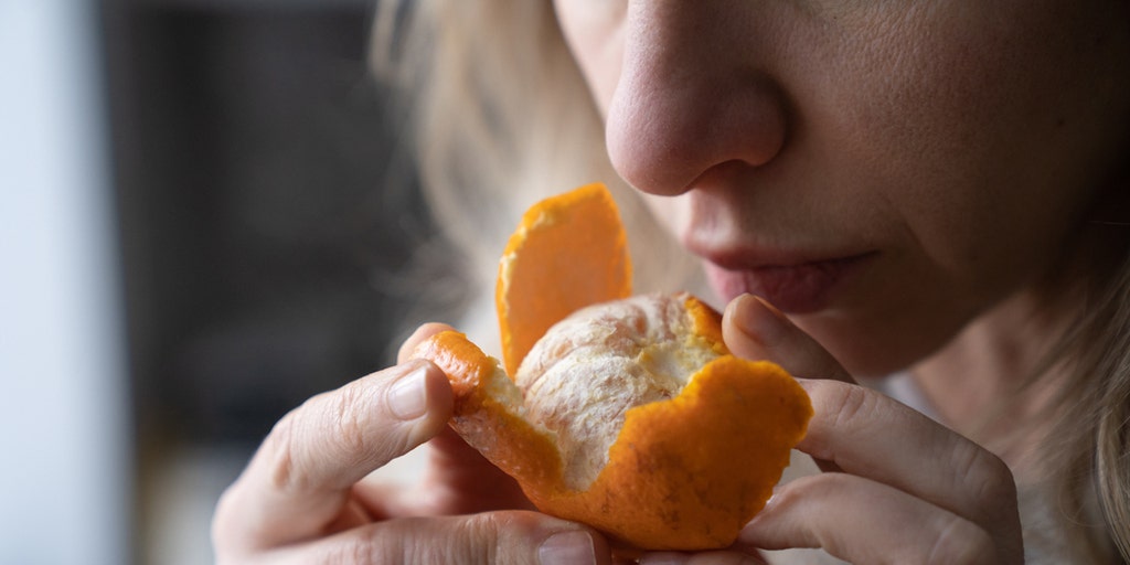 Loss of smell could be warning sign for future Alzheimer's disease, researchers say - Vimarsana News