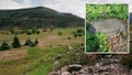 Colorado hiker stumbles across WWII-era land mine in forest near former US Army training facility