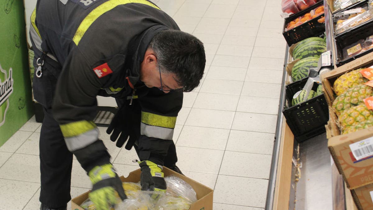 Austrian fire brigade member searches box for spider