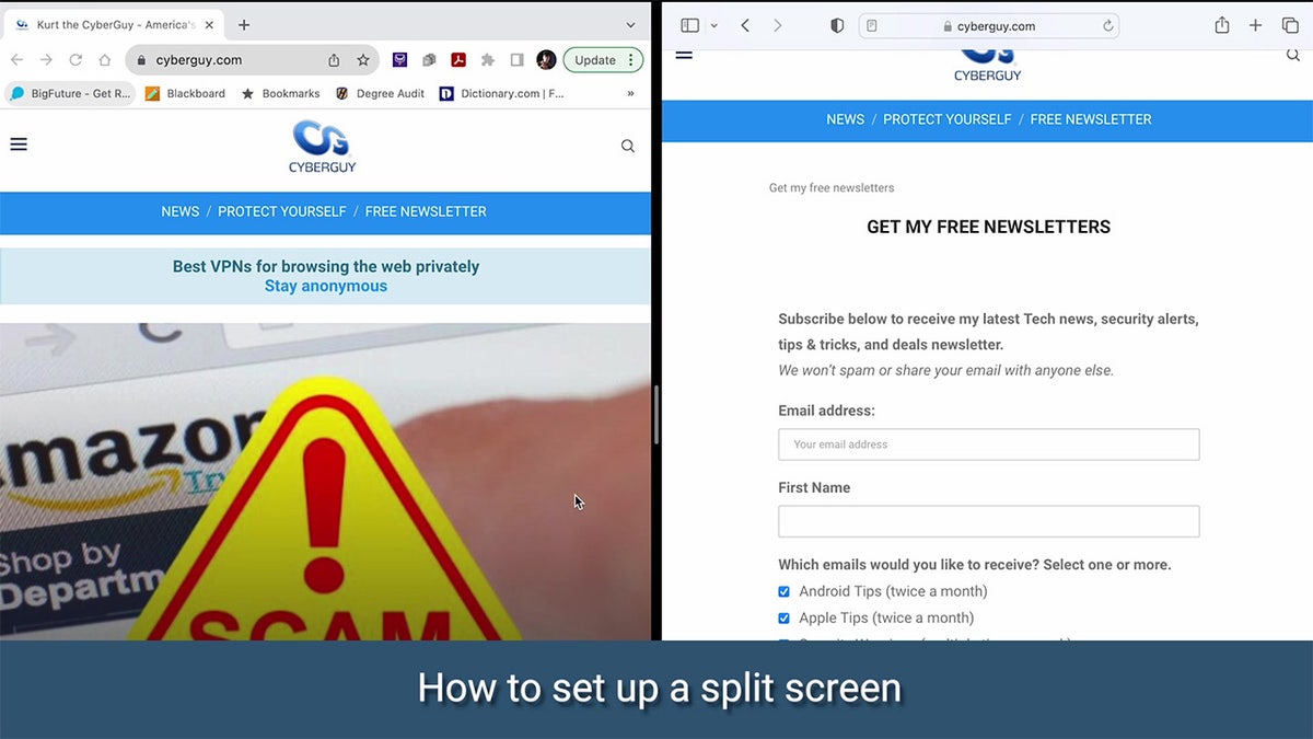Screenshot of a split screen view on a Mac computer.