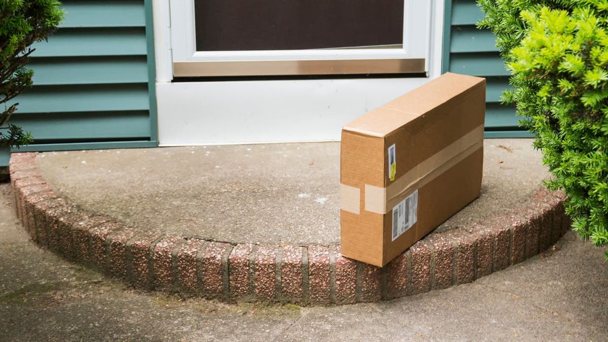 Brown package on a cement step in front of a door