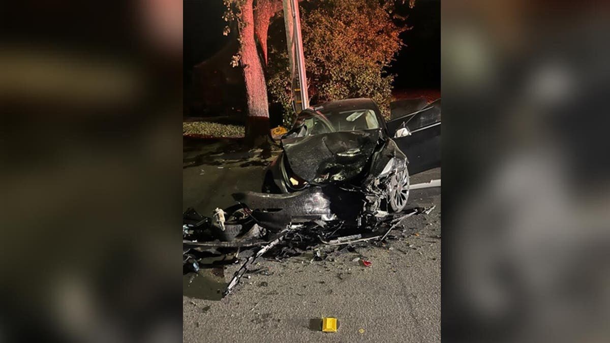 Damaged Tesla