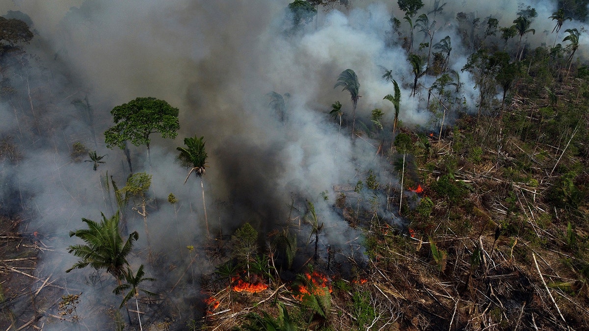 Smoke rises from a forest fire