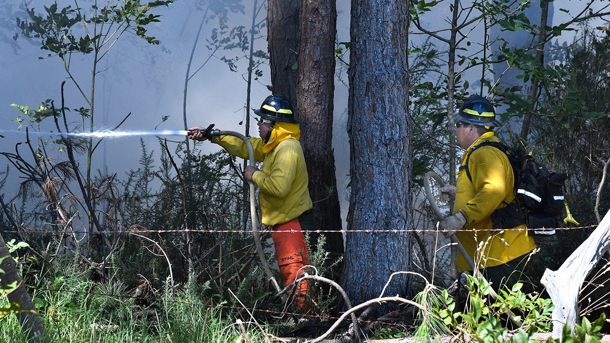 Firefighters working in Hawaii