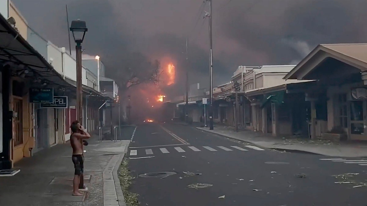 Maui wildfires