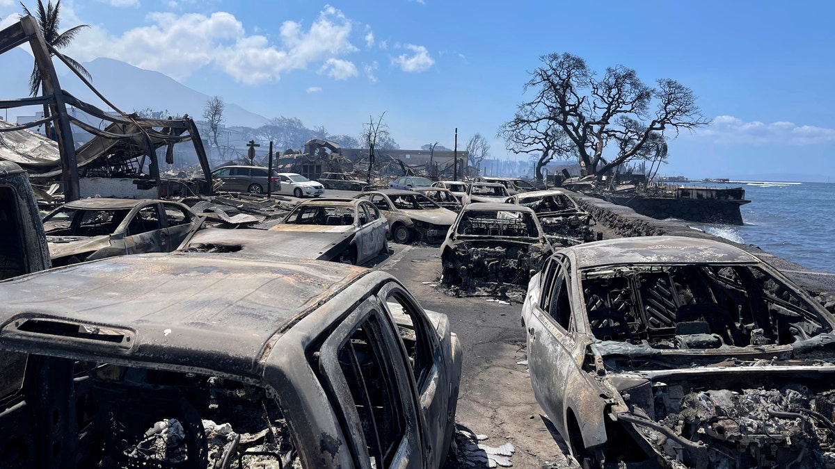 Cars burned after Hawaii wildfire