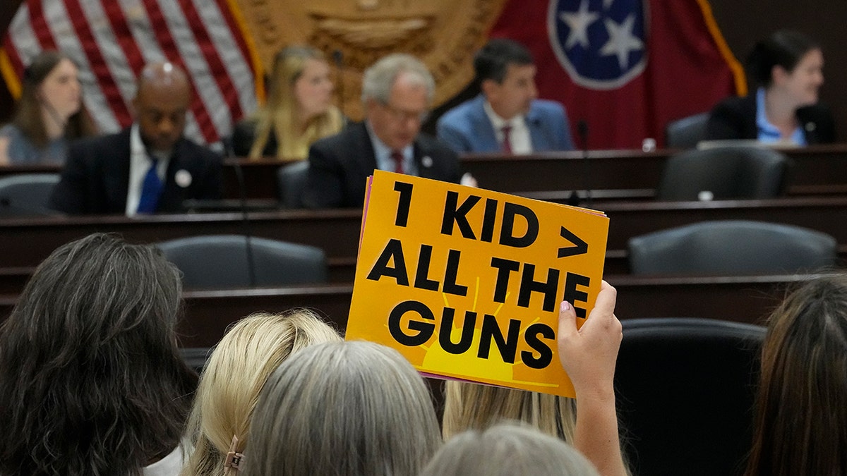 A demonstrator in Tennessee 