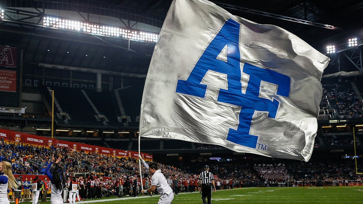 Air Force Falcons flag