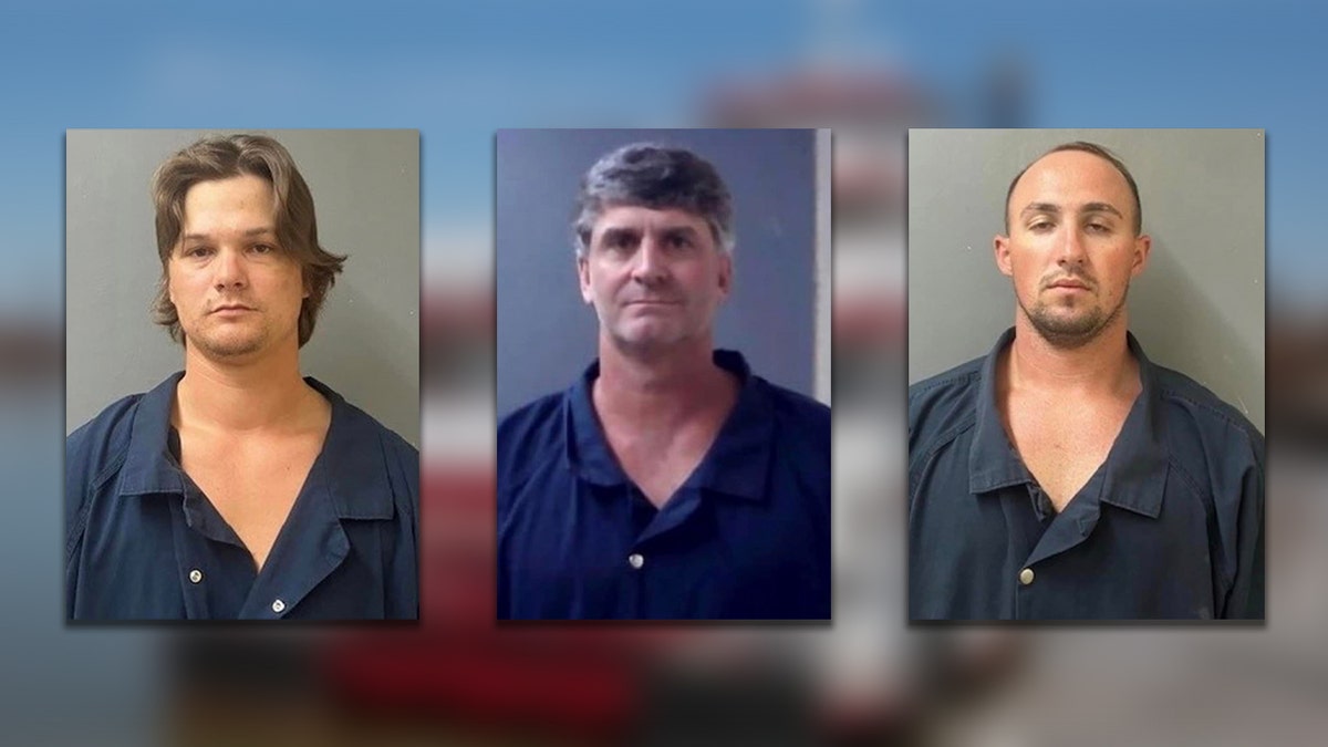 Mugshots of Alabama men charged with assault
