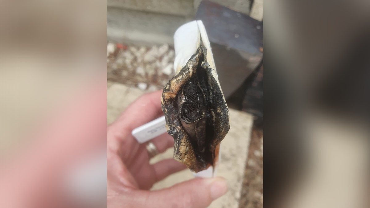 Woman holding burnt-out remains of defective baby monitor