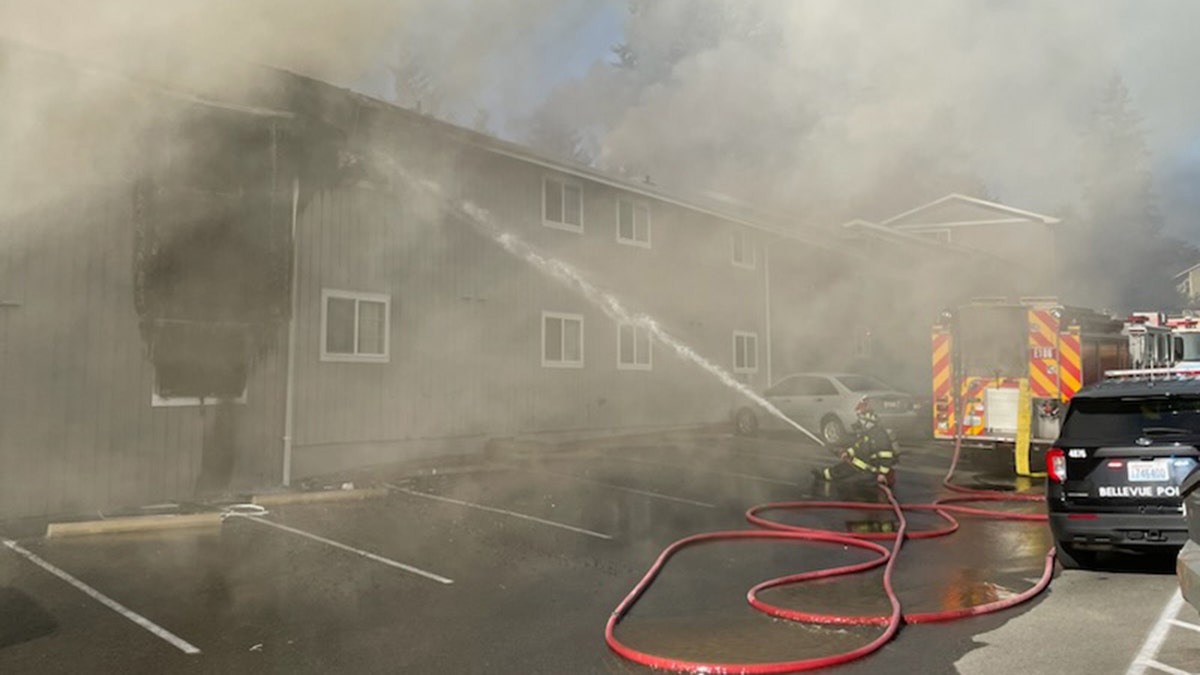 firefighter spraying water onto building