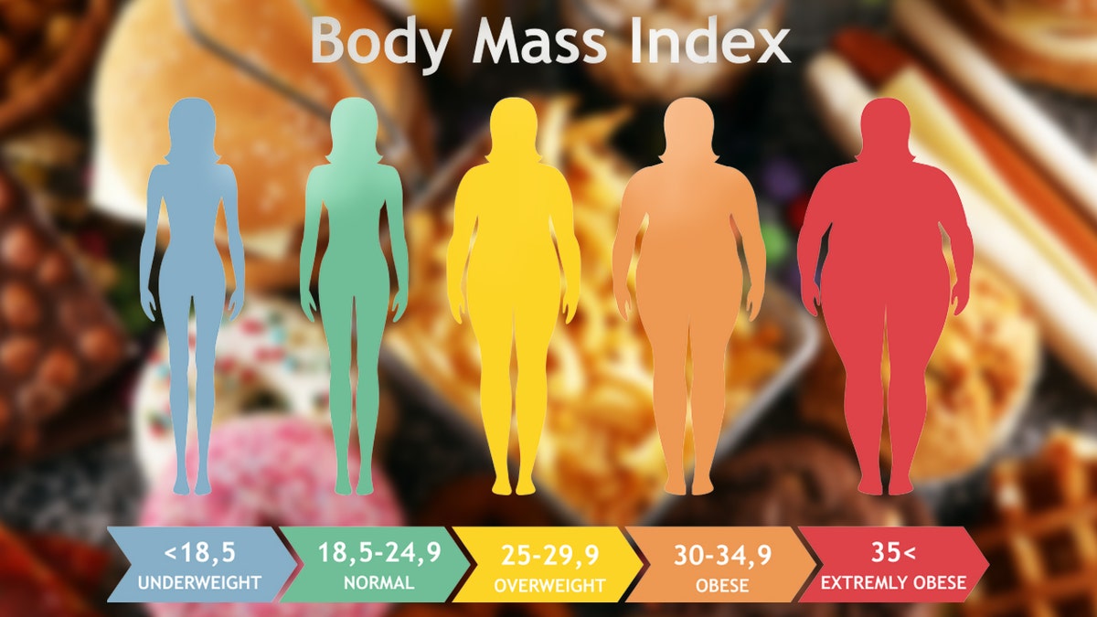 body mass index obesity 