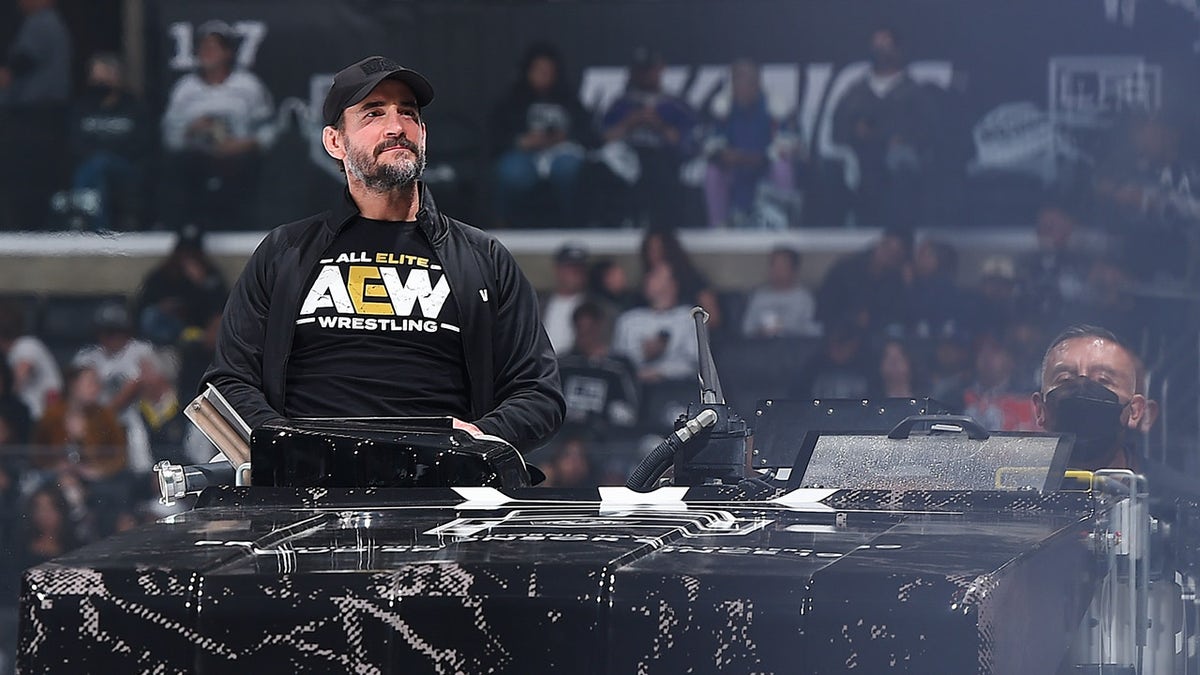 CM Punk at NHL game