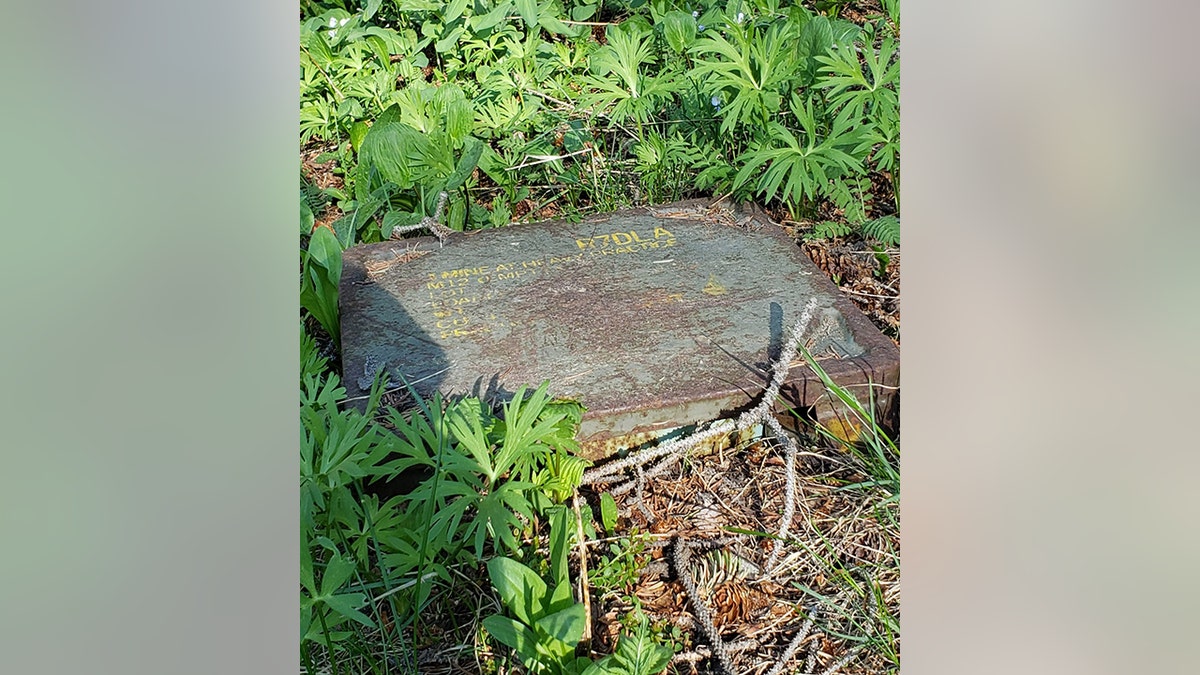 Colorado hiker stumbles across WWII-era land mine in forest near former US  Army training facility | Fox News