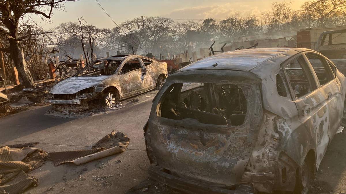 Burned cars in Lahaina