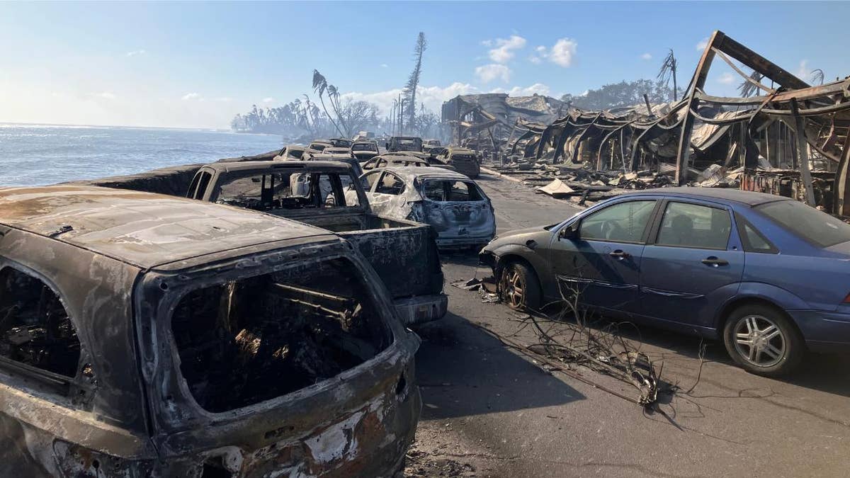 Cars showed burned near ocean